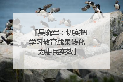 吴晓军：切实把学习教育成果转化为惠民实效