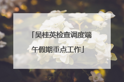吴桂英检查调度端午假期重点工作