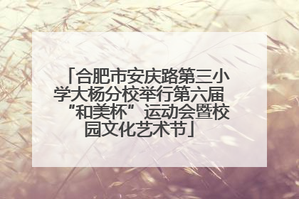 合肥市安庆路第三小学大杨分校举行第六届“和美杯”运动会暨校园文化艺术节