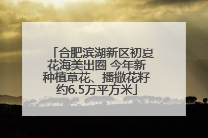 合肥滨湖新区初夏花海美出圈 今年新种植草花、播撒花籽约6.5万平方米