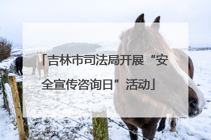吉林市司法局开展“安全宣传咨询日”活动