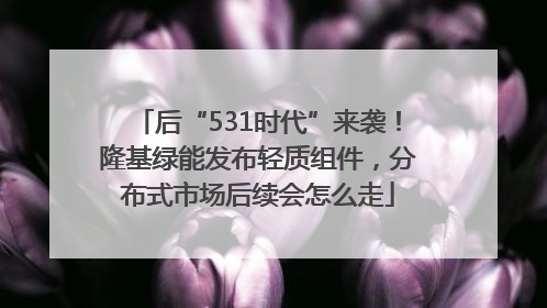 后“531时代”来袭！隆基绿能发布轻质组件，分布式市场后续会怎么走
