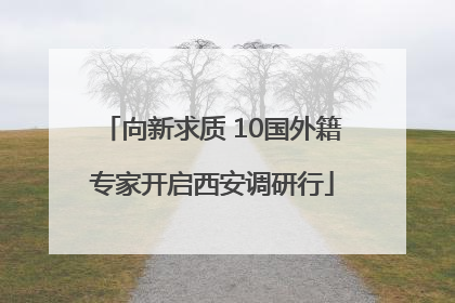 向新求质 10国外籍专家开启西安调研行