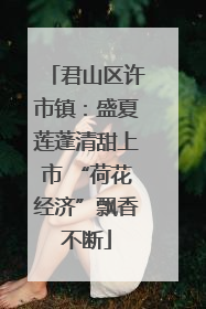 君山区许市镇：盛夏莲蓬清甜上市 “荷花经济”飘香不断