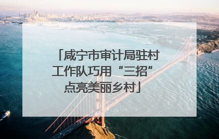咸宁市审计局驻村工作队巧用“三招”点亮美丽乡村