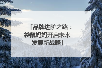 品牌进阶之路：袋鼠妈妈开启未来发展新战略