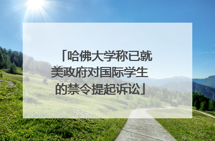 哈佛大学称已就美政府对国际学生的禁令提起诉讼