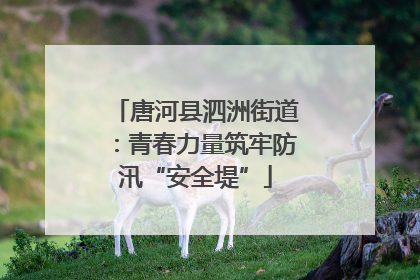 唐河县泗洲街道：青春力量筑牢防汛“安全堤”