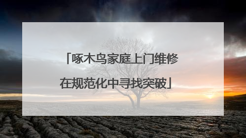 啄木鸟家庭上门维修在规范化中寻找突破