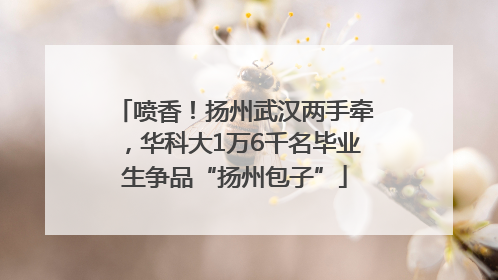 喷香！扬州武汉两手牵，华科大1万6千名毕业生争品“扬州包子”