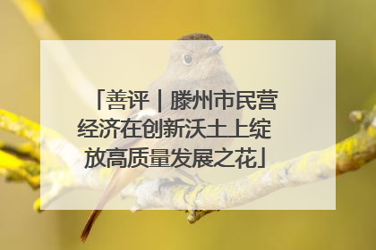善评｜滕州市民营经济在创新沃土上绽放高质量发展之花