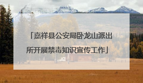 嘉祥县公安局卧龙山派出所开展禁毒知识宣传工作