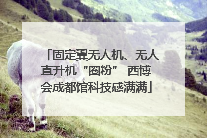 固定翼无人机、无人直升机“圈粉” 西博会成都馆科技感满满