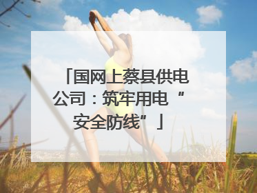 国网上蔡县供电公司：筑牢用电“安全防线”