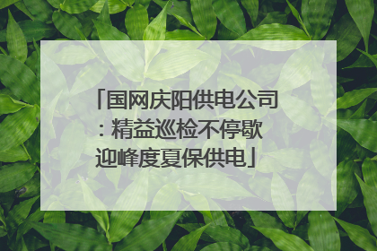 国网庆阳供电公司：精益巡检不停歇 迎峰度夏保供电