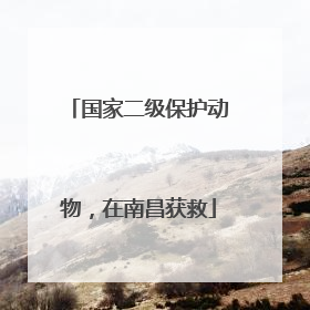 国家二级保护动物，在南昌获救