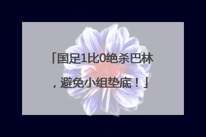 国足1比0绝杀巴林，避免小组垫底！