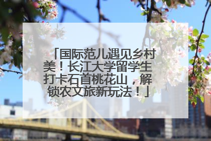 国际范儿遇见乡村美！长江大学留学生打卡石首桃花山，解锁农文旅新玩法！