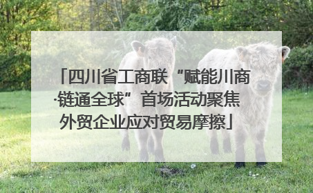 四川省工商联“赋能川商·链通全球”首场活动聚焦外贸企业应对贸易摩擦
