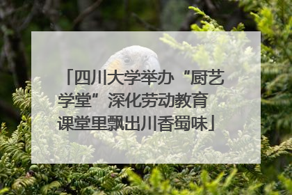 四川大学举办“厨艺学堂”深化劳动教育 课堂里飘出川香蜀味