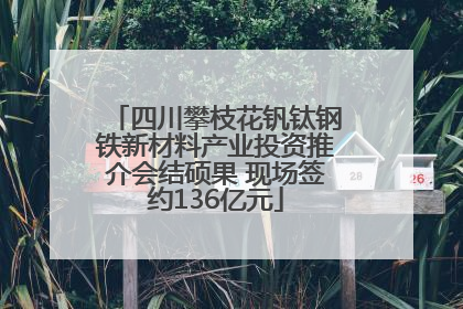 四川攀枝花钒钛钢铁新材料产业投资推介会结硕果 现场签约136亿元