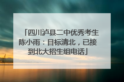 四川泸县二中优秀考生陈小雨：目标清北，已接到北大招生组电话
