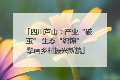 四川芦山：产业“破茧” 生态“织锦” 擘画乡村振兴新貌