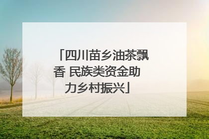 四川苗乡油茶飘香 民族类资金助力乡村振兴