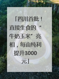 四川首批！直接生食的“牛奶玉米”亮相，每亩纯利提升3000元
