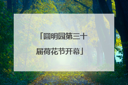 圆明园第三十届荷花节开幕
