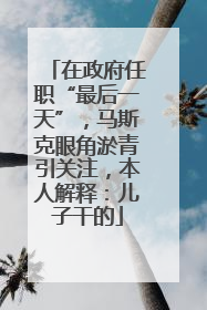 在政府任职“最后一天”，马斯克眼角淤青引关注，本人解释：儿子干的