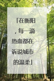 在衡阳，每一滴热血都在诉说城市的温柔