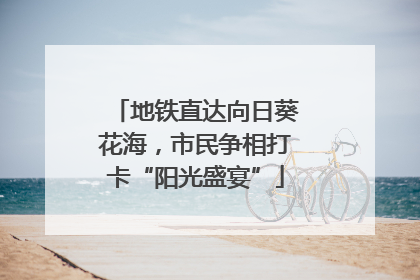 地铁直达向日葵花海，市民争相打卡“阳光盛宴”