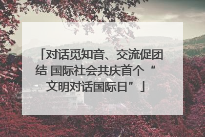对话觅知音、交流促团结 国际社会共庆首个“文明对话国际日”