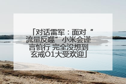 对话雷军：面对“流量反噬”小米会谨言慎行 完全没想到玄戒O1大受欢迎