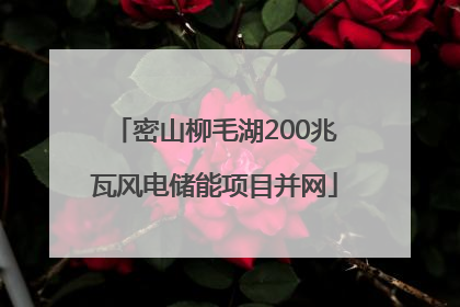 密山柳毛湖200兆瓦风电储能项目并网