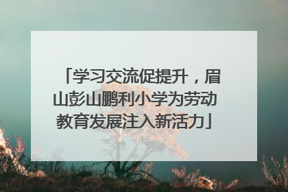 学习交流促提升，眉山彭山鹏利小学为劳动教育发展注入新活力