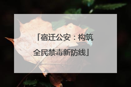 宿迁公安：构筑全民禁毒新防线