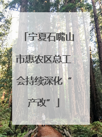 宁夏石嘴山市惠农区总工会持续深化“产改”
