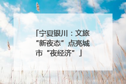 宁夏银川：文旅“新夜态”点亮城市“夜经济”