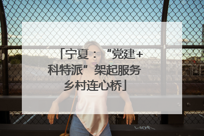 宁夏：“党建+科特派”架起服务乡村连心桥