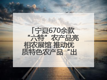 宁夏670余款“六特”农产品亮相农展馆 推动优质特色农产品“出宁进京”