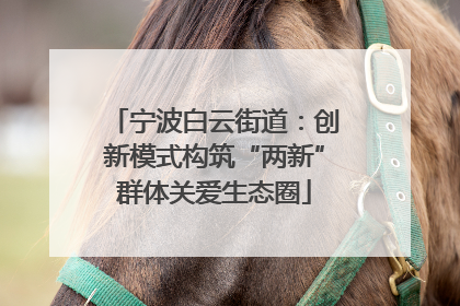 宁波白云街道：创新模式构筑“两新”群体关爱生态圈
