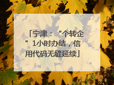 宁津：“个转企”1小时办结，信用代码无缝延续