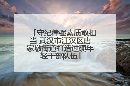 守纪律强素质敢担当 武汉市江汉区唐家墩街道打造过硬年轻干部队伍