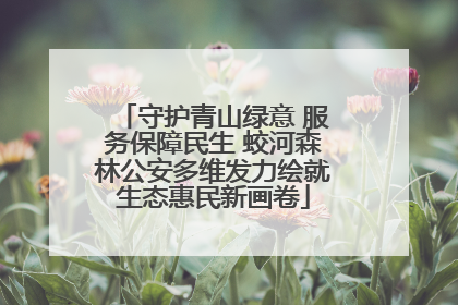 守护青山绿意 服务保障民生 蛟河森林公安多维发力绘就生态惠民新画卷