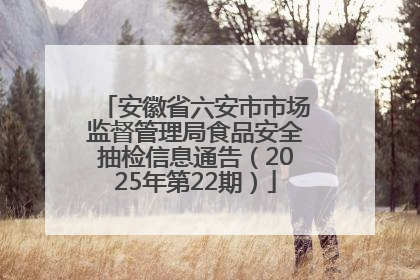 安徽省六安市市场监督管理局食品安全抽检信息通告（2025年第22期）