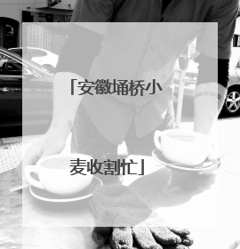 安徽埇桥小麦收割忙