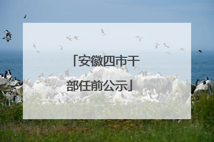 安徽四市干部任前公示