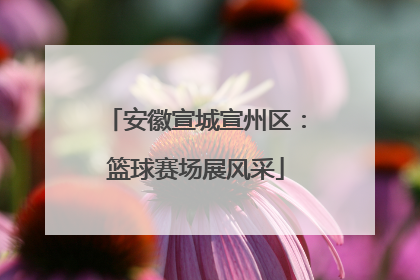 安徽宣城宣州区：篮球赛场展风采